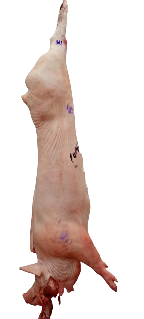 [FP189] Capon de Cerdo con Cabeza